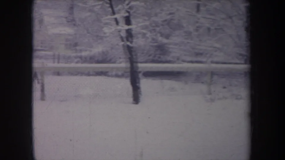 1968 Michigan 8mm frame of a snow-covered backyard with bare trees, fence lines, and dark window divisions in the foreground.