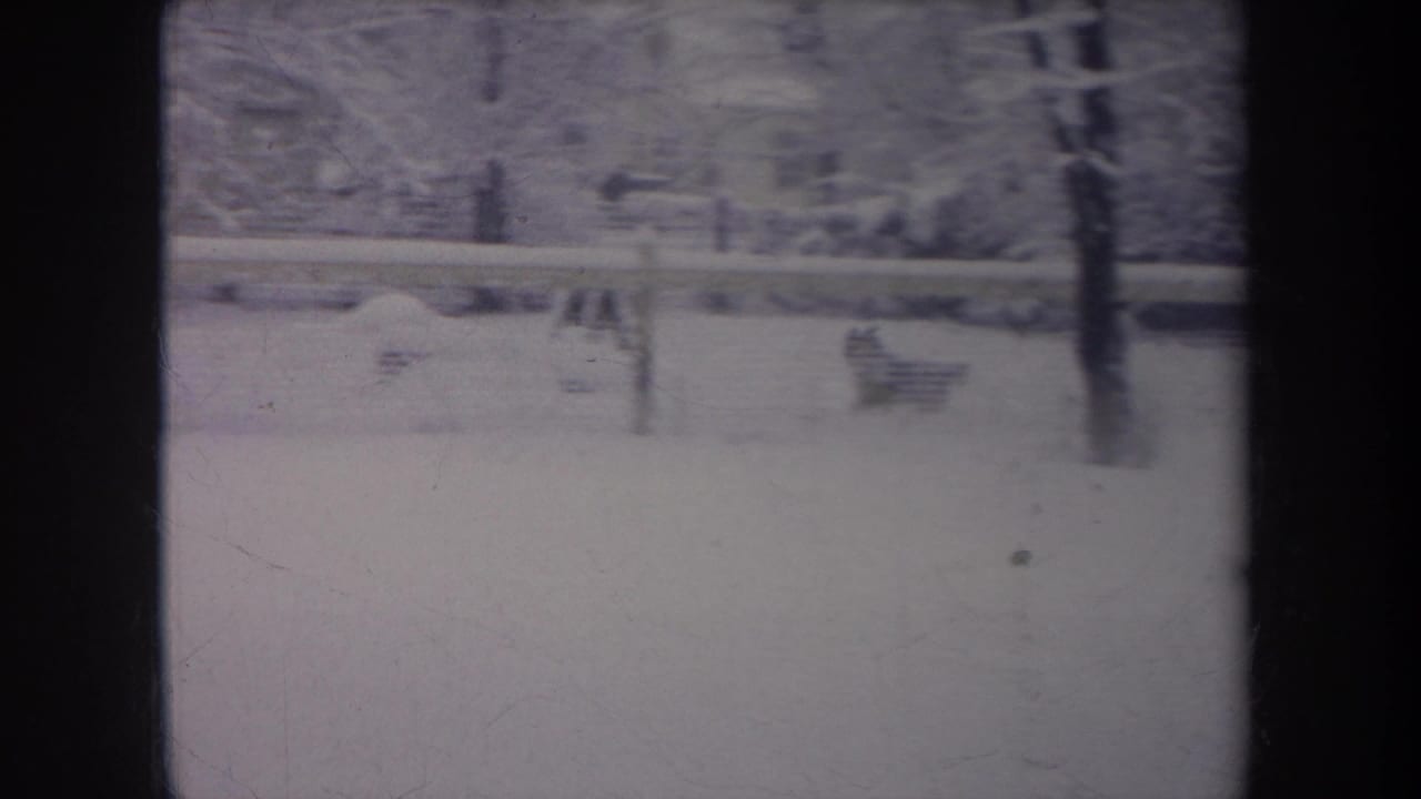 Small dog near a snowy fence line in a backyard with trees and posts.