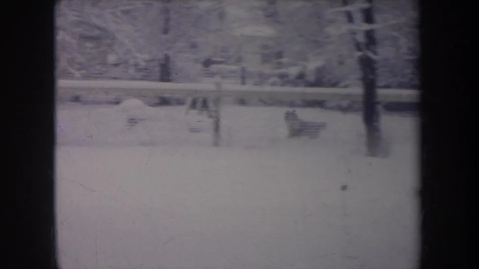 1968 Michigan home-movie frame showing a small dog moving near a snow-covered fence line in a winter backyard.