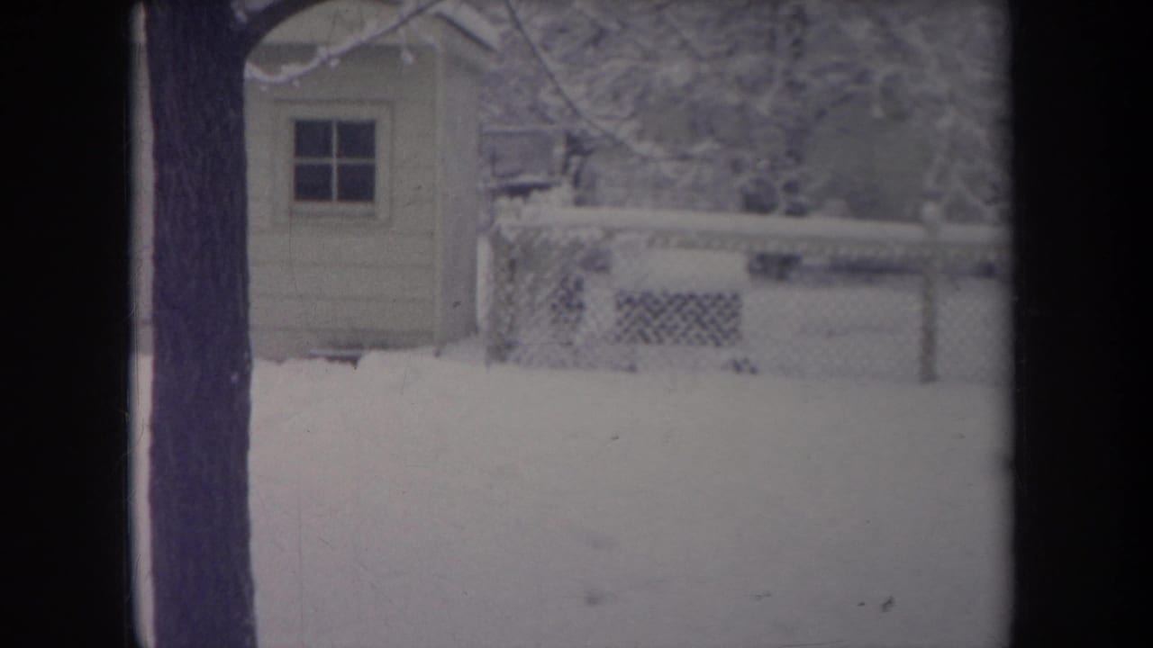 Snowy backyard seen through a dark window frame, with a pale shed and chain-link fence beyond.