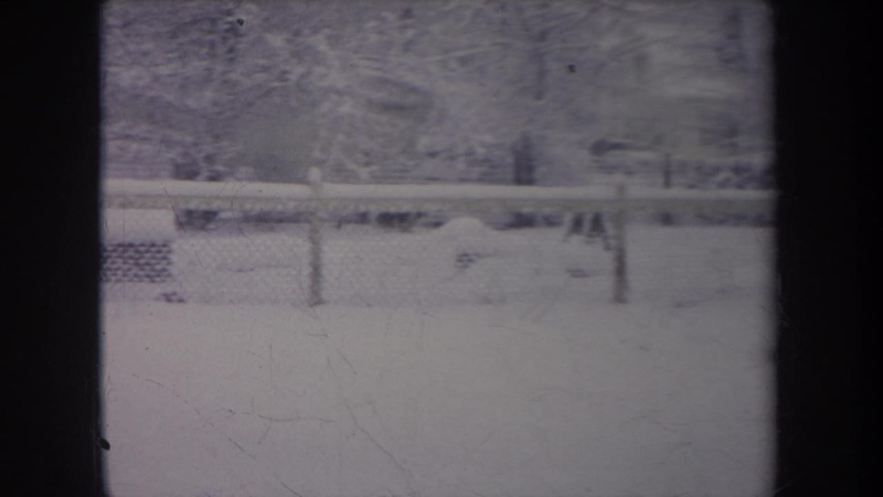 Snow-covered fenced yard viewed through a window, with trees and yard objects faintly visible.