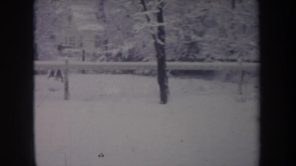1968 Michigan winter yard scene through a window, showing snow, a chain-link fence, a tree trunk, and a small dark dog shape near the snow.