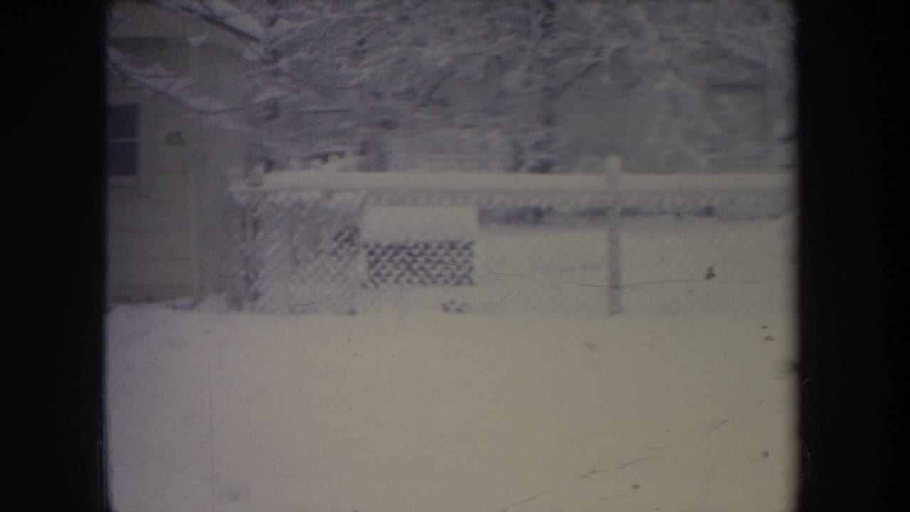 Snowy fenced yard with a small dark dog visible near the right side of the frame.