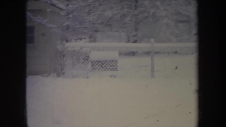 1968 Michigan 8mm frame of a snow-covered backyard with a chain-link fence, trees, and a small dog moving across the snow.