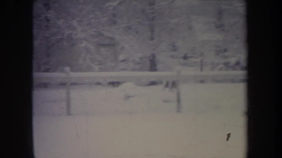 Soft 8mm frame from a Michigan snowy backyard, with fence lines, winter trees, and possible dog movement blurred near the center-left.