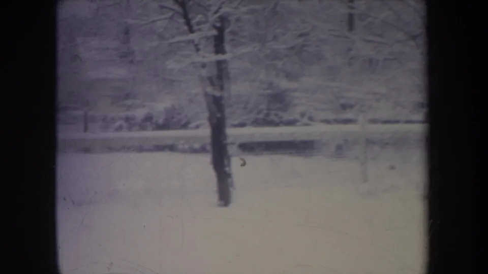 1968 Michigan home-movie frame showing a snow-covered yard, a foreground tree trunk, chain-link fence, and winter trees in soft focus.