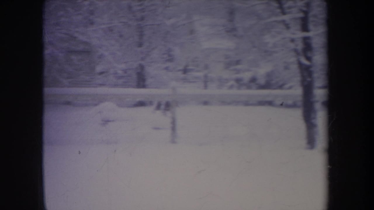 1968 Michigan 8mm frame showing a snowy backyard, bare trees, fence line, and distant dog shape in soft focus.