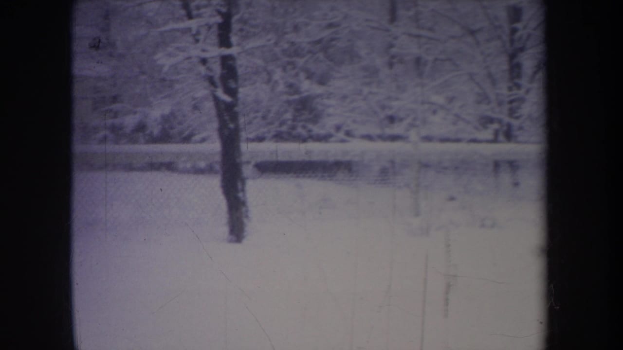 Snowy yard with bare trees and fence, seen through dark 8mm frame edges.