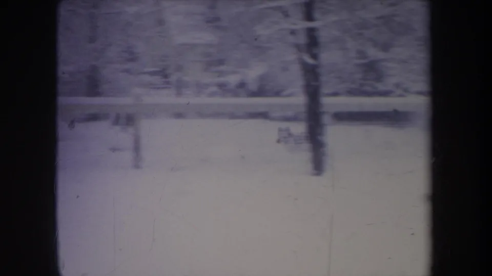 1968 Michigan 8mm frame with a light-colored dog blurred by motion in a snowy fenced backyard.