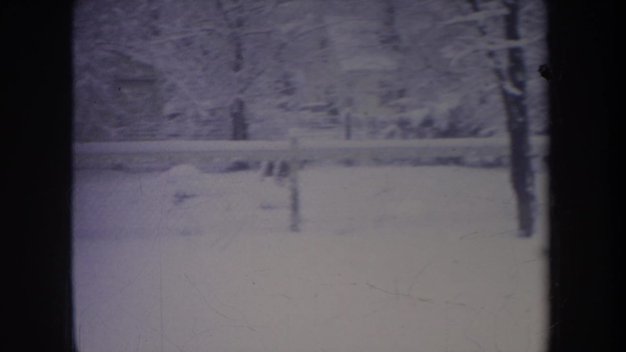 Snowy yard and fence with a blurred dark shape low in the frame.