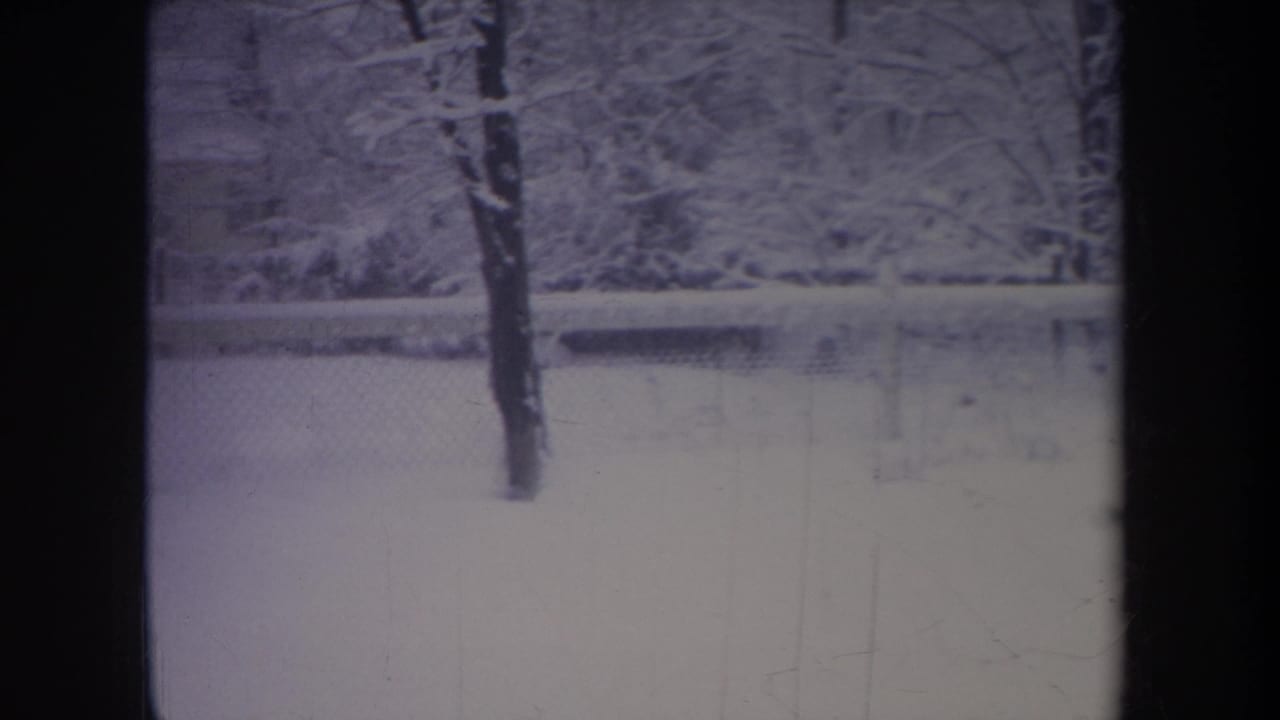 1968 Michigan 8mm footage shows a snowy residential yard with a tree trunk and fence as the moving pet becomes indistinct in blur.