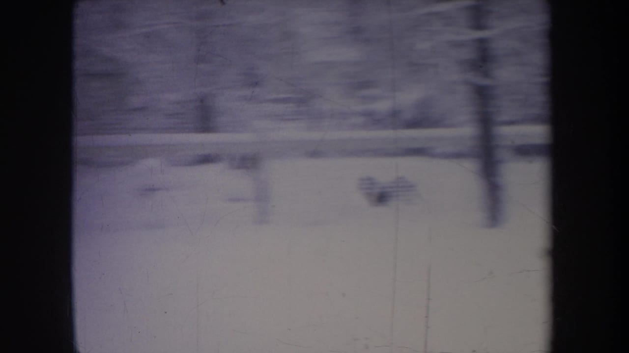 A purple-tinted 8mm frame shows the Michigan winter yard, fence, and trees, with the dog reduced to a small motion blur in the snow.