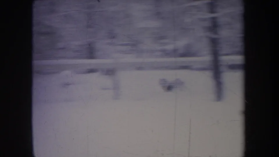 A purple-tinted 8mm frame shows the Michigan winter yard, fence, and trees, with the dog reduced to a small motion blur in the snow.