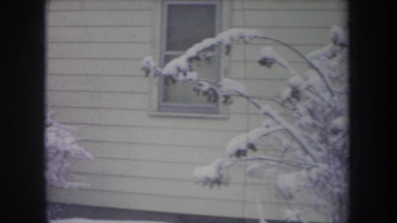 Light-colored house siding, a window, and snow-laden branches in winter.