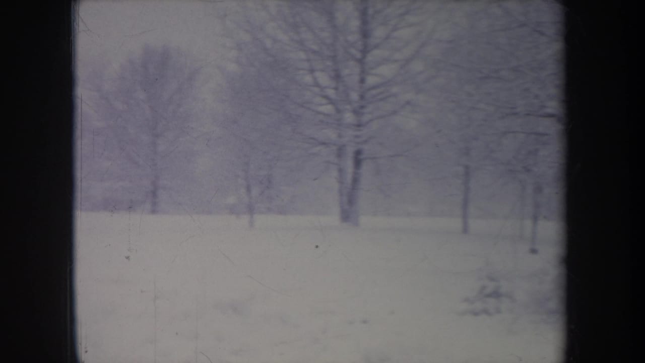 1968 Michigan 8mm view of a quiet snow-covered yard with bare trees and overcast winter light.