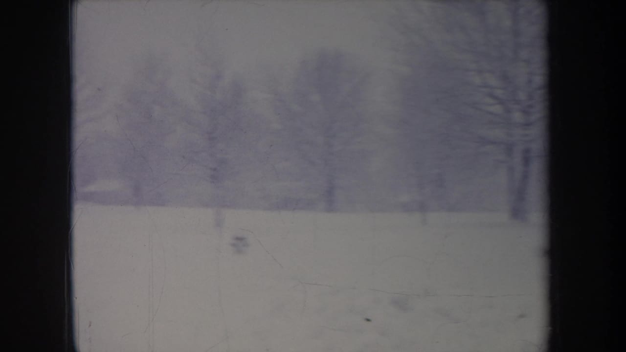 1968 Michigan home-movie frame showing a snowy open area and bare trees, with soft focus and blue-purple film fading.