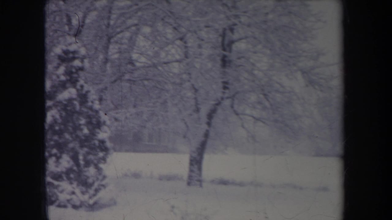 1968 Michigan winter home-movie frame with snow-covered ground, bare trees, a small evergreen, and a distant building softened by film grain.