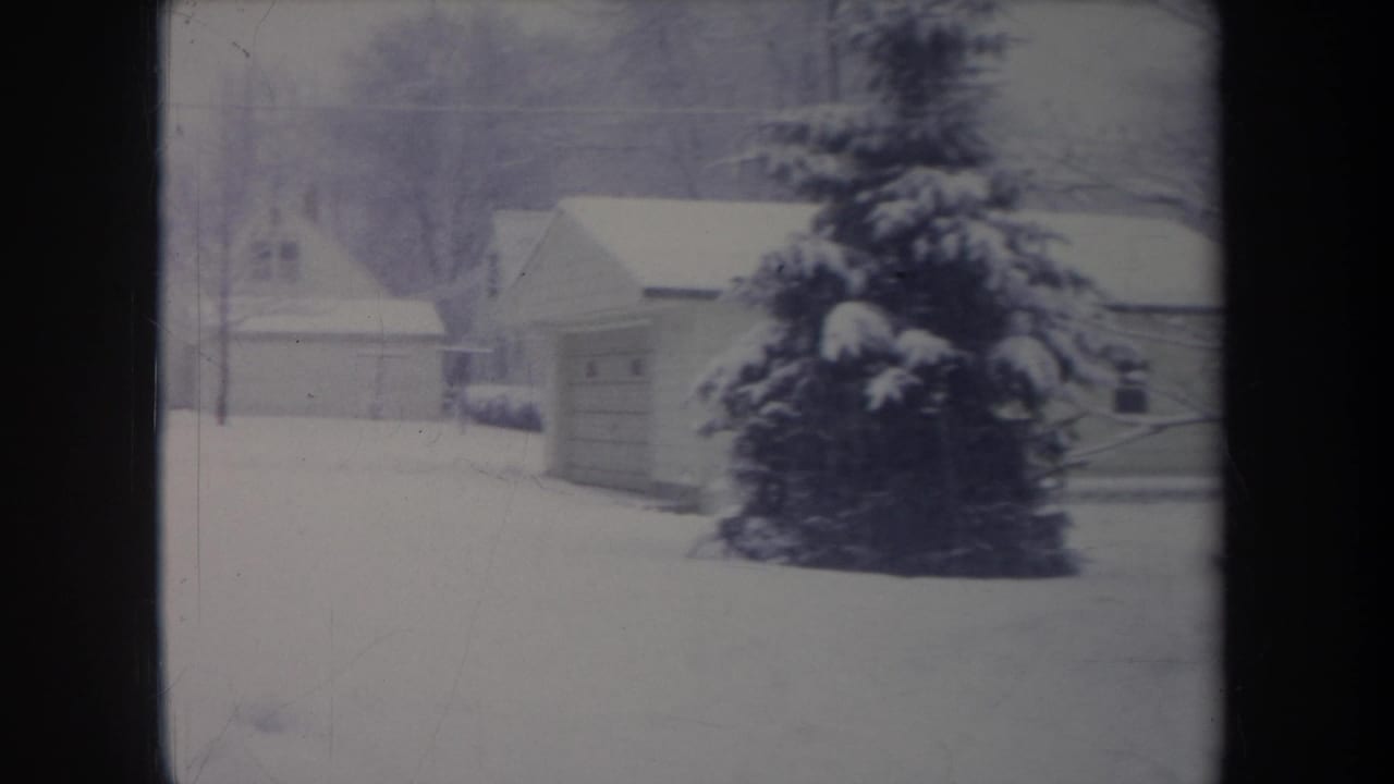 Snow-covered suburban homes and a large evergreen viewed through a window.