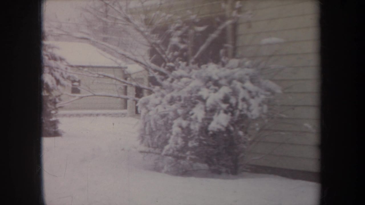 1968 Michigan home-movie frame showing snow-laden shrubs, bare branches, a snowy yard, and the side of a pale residential house.