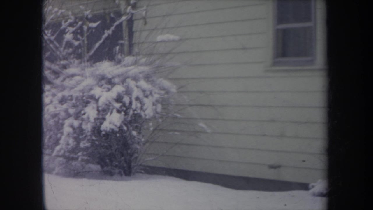 Snowy bush in front of pale horizontal siding and a small house window.