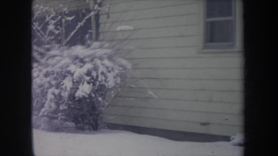 1968 Michigan winter frame with a snow-covered shrub against pale horizontal house siding and a small rectangular window.