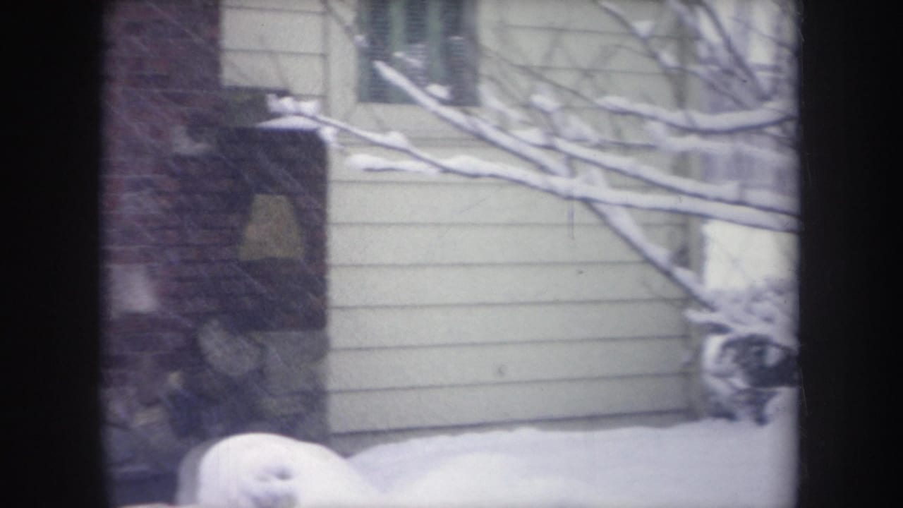 Snow-covered house wall, brick section, branches, and a dark eave area beside the yard.