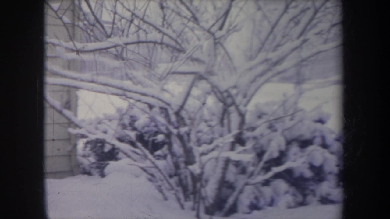 1968 Michigan 8mm frame showing snow-laden branches and shrubs near a residential house exterior.