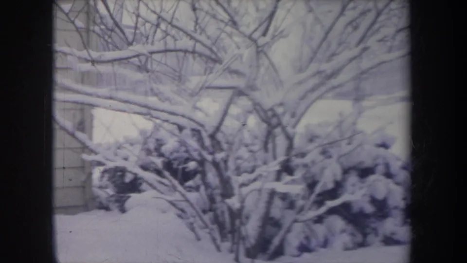 1968 Michigan 8mm frame showing snow-laden branches and shrubs near a residential house exterior.