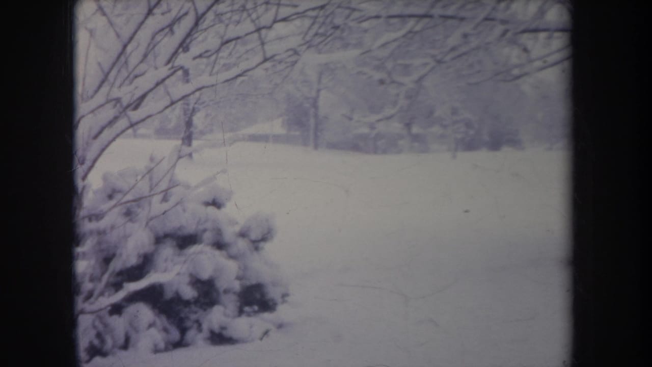 1968 Michigan winter yard view with snow-covered shrubs, bare branches, and trees in the background.
