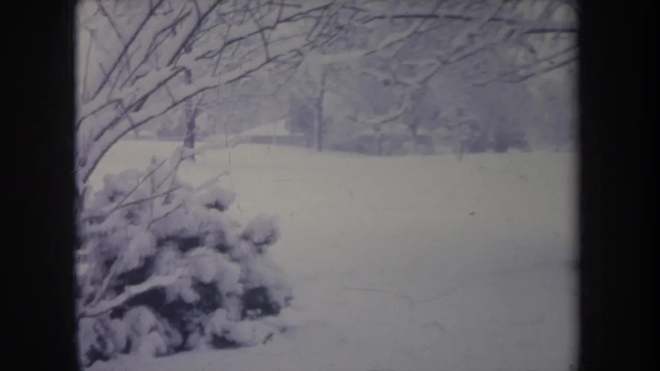 1968 Michigan winter yard view with snow-covered shrubs, bare branches, and trees in the background.