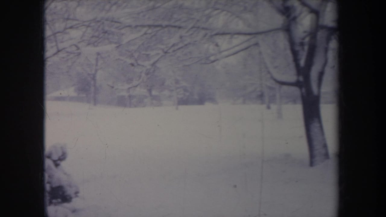 Snowy field with bare trees seen through dark vertical window-like bars.