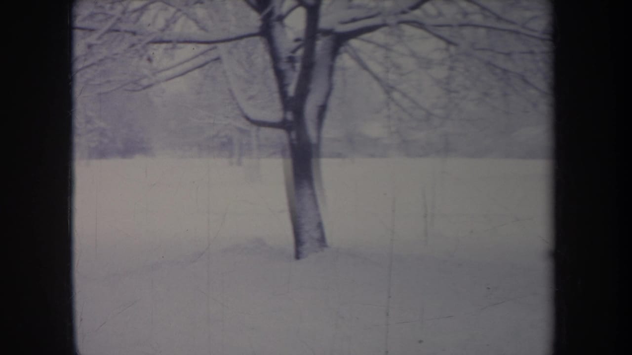 Bare trees and a snowy open area framed by a dark central vertical bar.