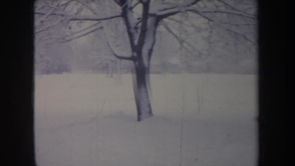 Snowy Michigan landscape from 1968 with bare trees, a pale field, and a dark vertical foreground obstruction.