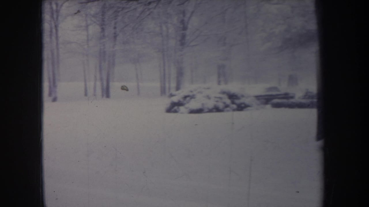 1968 Michigan winter frame with bare trees, snow-covered shrubs, and an older sedan passing behind the yard.