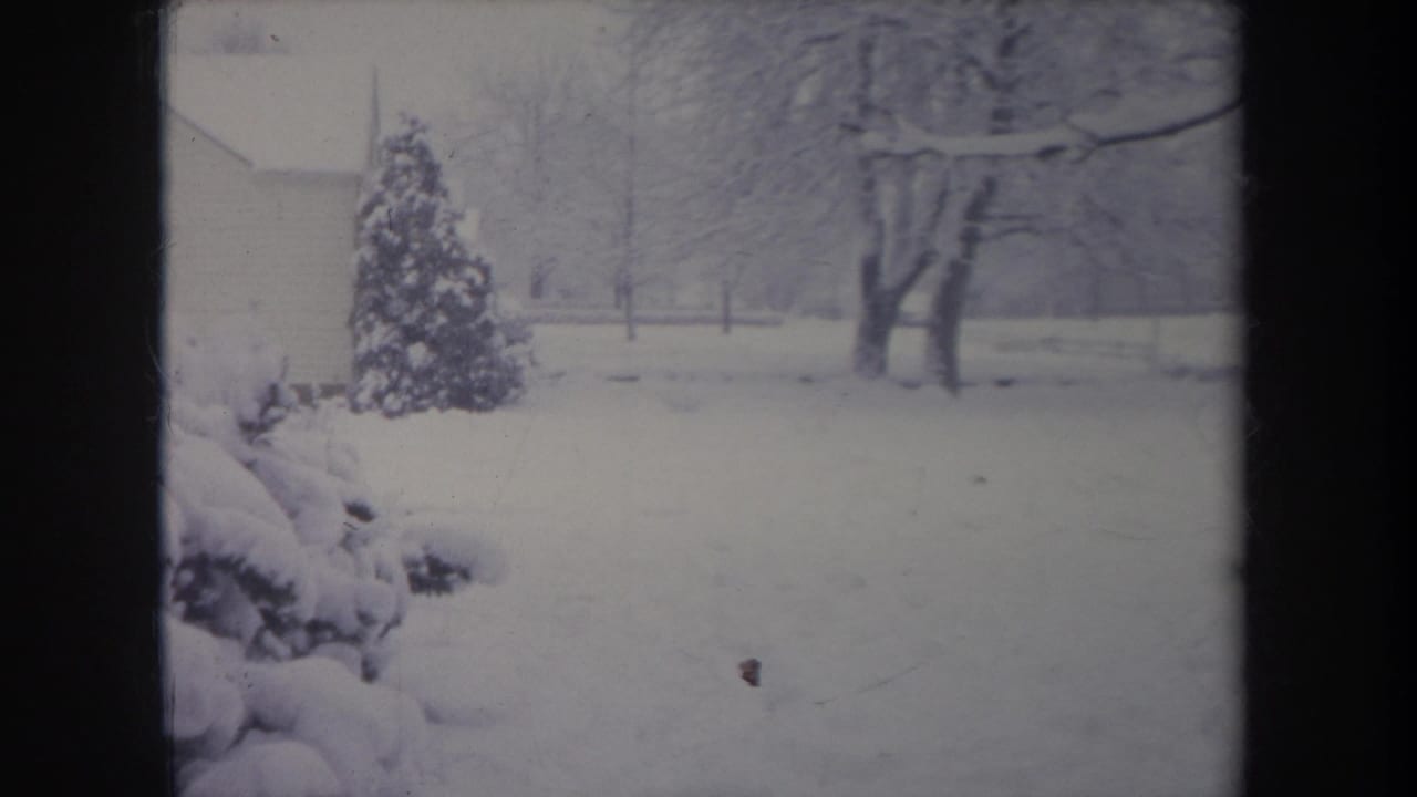 1968 Michigan 8mm frame showing a snowy residential yard with an evergreen shrub, bare trees, and a faint fence in the background.