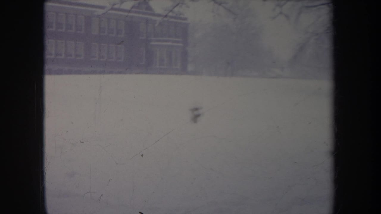 Snowy open grounds with a brick building in back and a small dog blurred in motion.