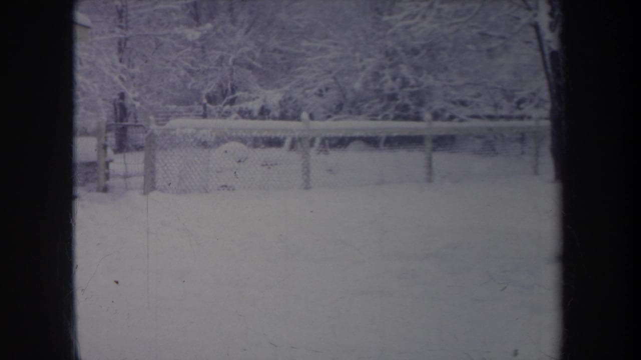 Snow-covered yard with a fence and tree line, divided by a dark vertical window frame.