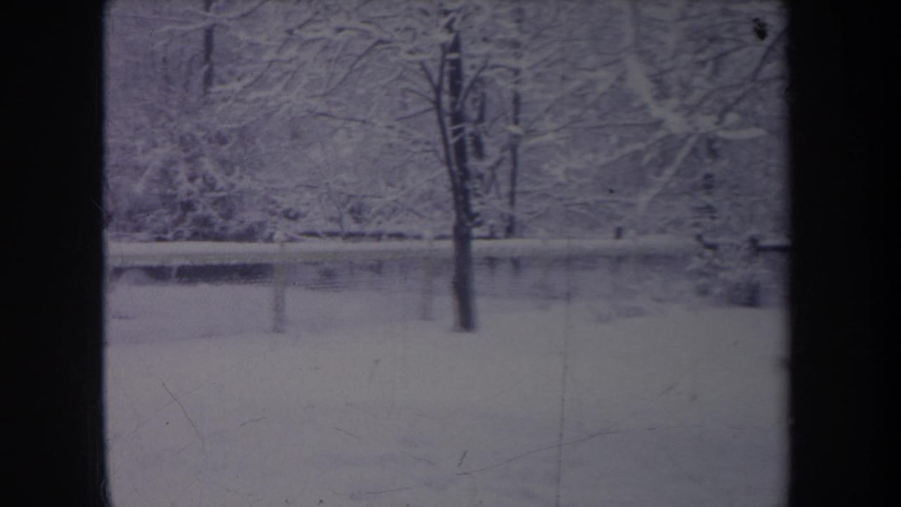 1968 Michigan winter frame with snow-laden branches, a fence line, and a tree trunk near the foreground.