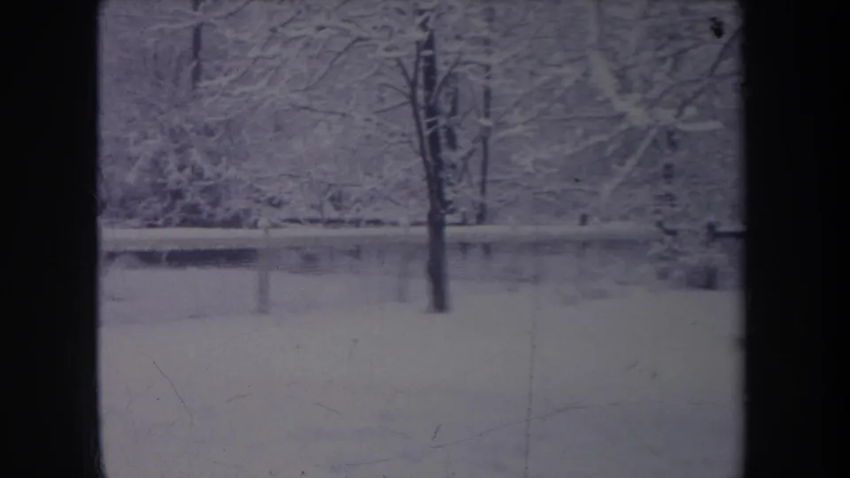 1968 Michigan winter frame with snow-laden branches, a fence line, and a tree trunk near the foreground.