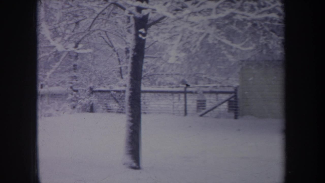 1968 Michigan winter frame showing snow-covered ground, trees, fencing, and a small structure edge at right.