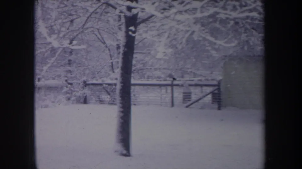 1968 Michigan winter frame showing snow-covered ground, trees, fencing, and a small structure edge at right.