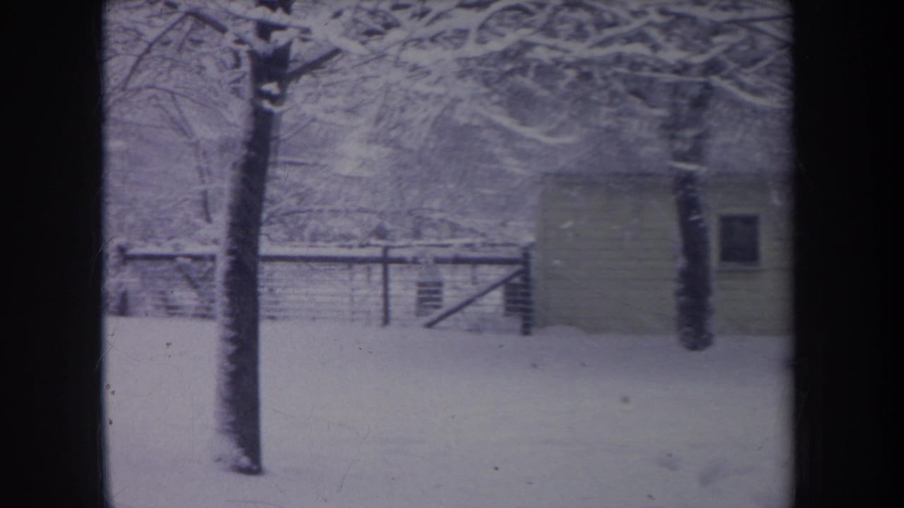 1968 Michigan home-movie frame showing a snow-covered yard, small shed, fence, and bare trees in soft 8mm color.