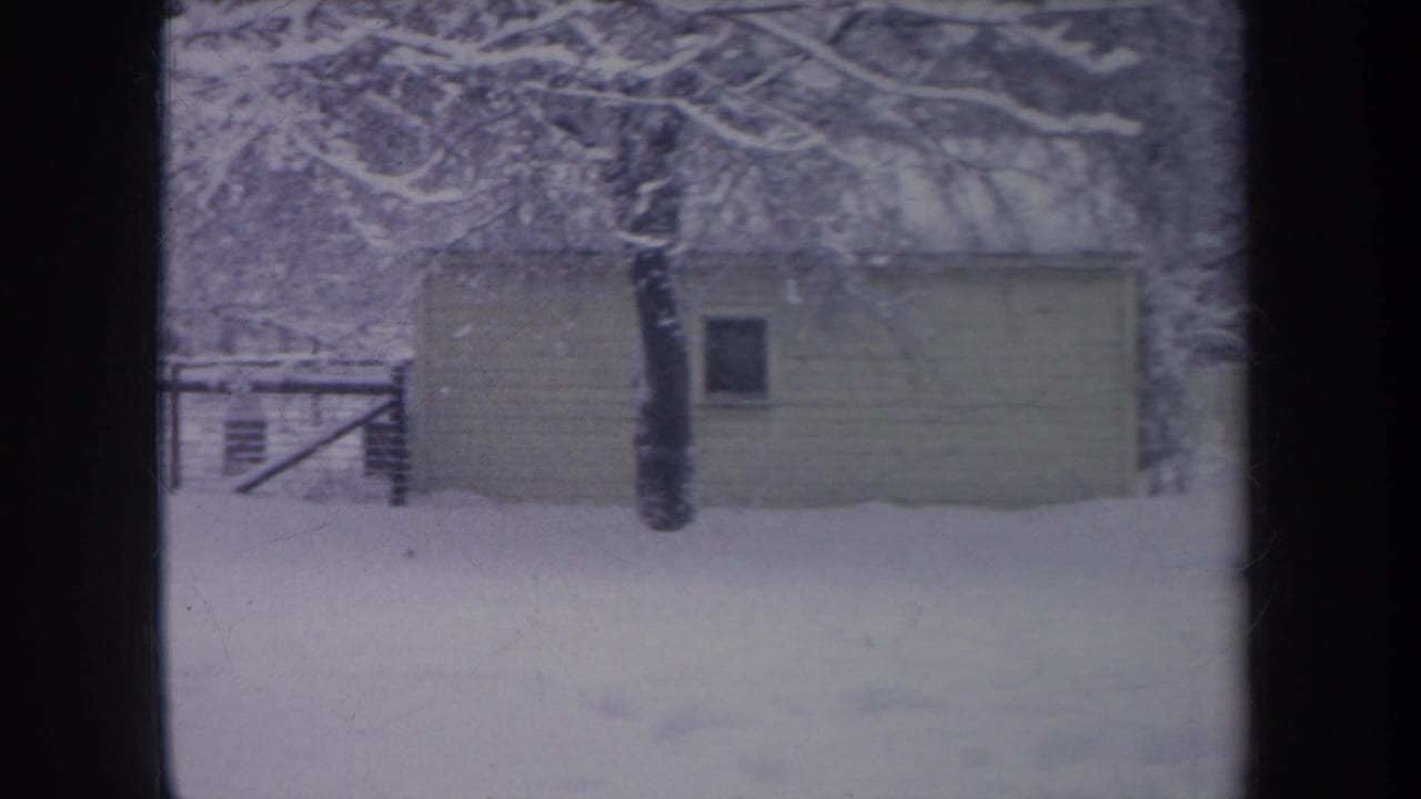 Small shed in a snowy yard with a tree trunk, fence, and snow-laden branches.