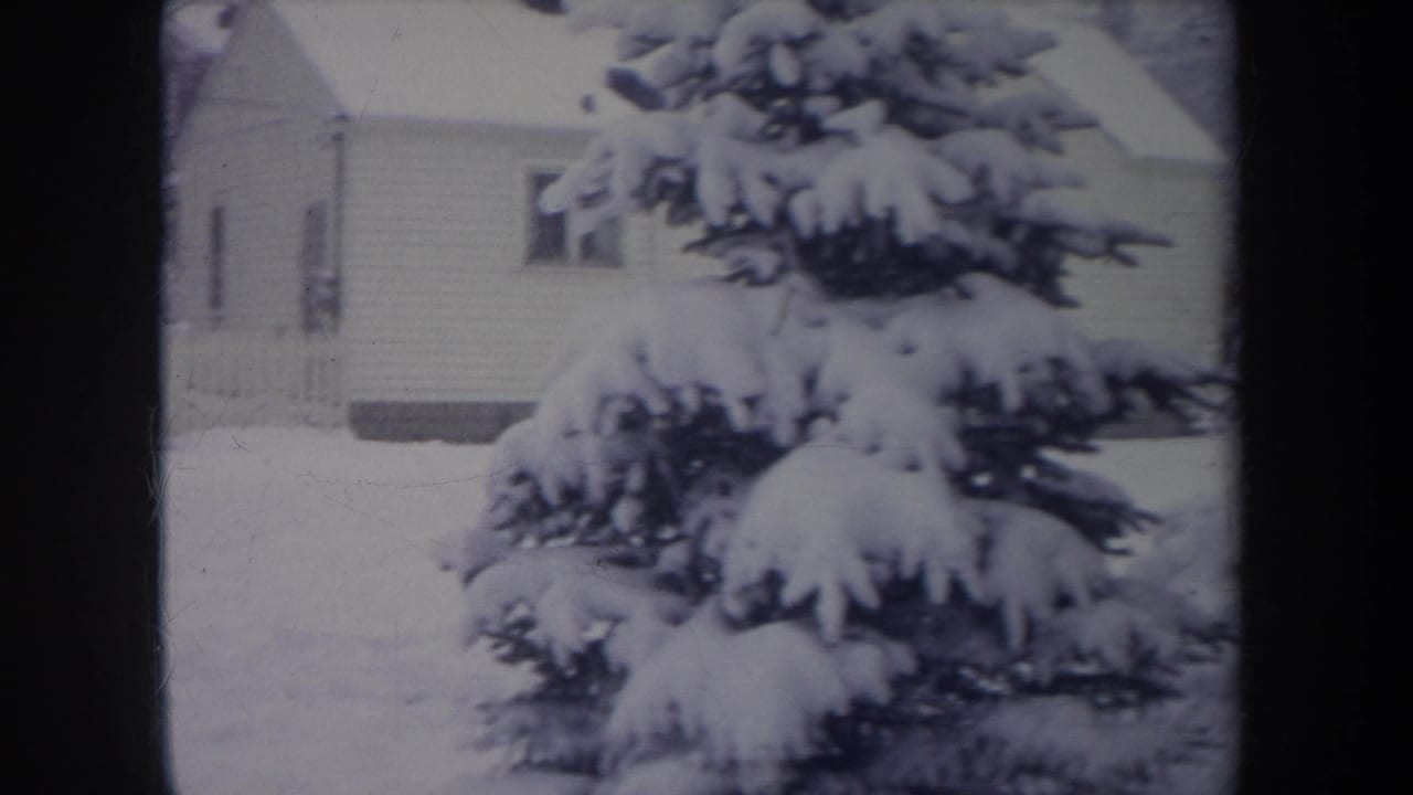 Snow-laden evergreen in front of a house and quiet winter yard.