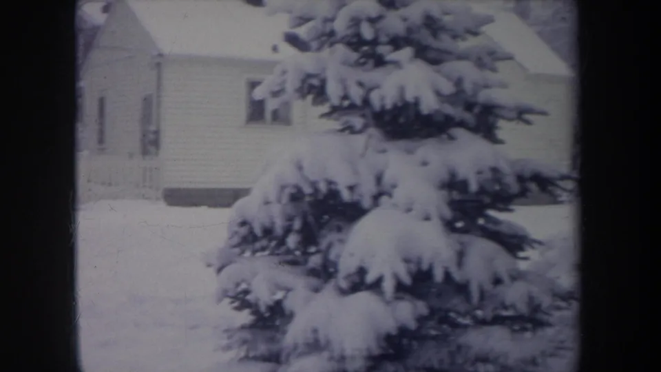 1968 Michigan 8mm frame centered on a snow-heavy evergreen beside a suburban house during a quiet winter storm.