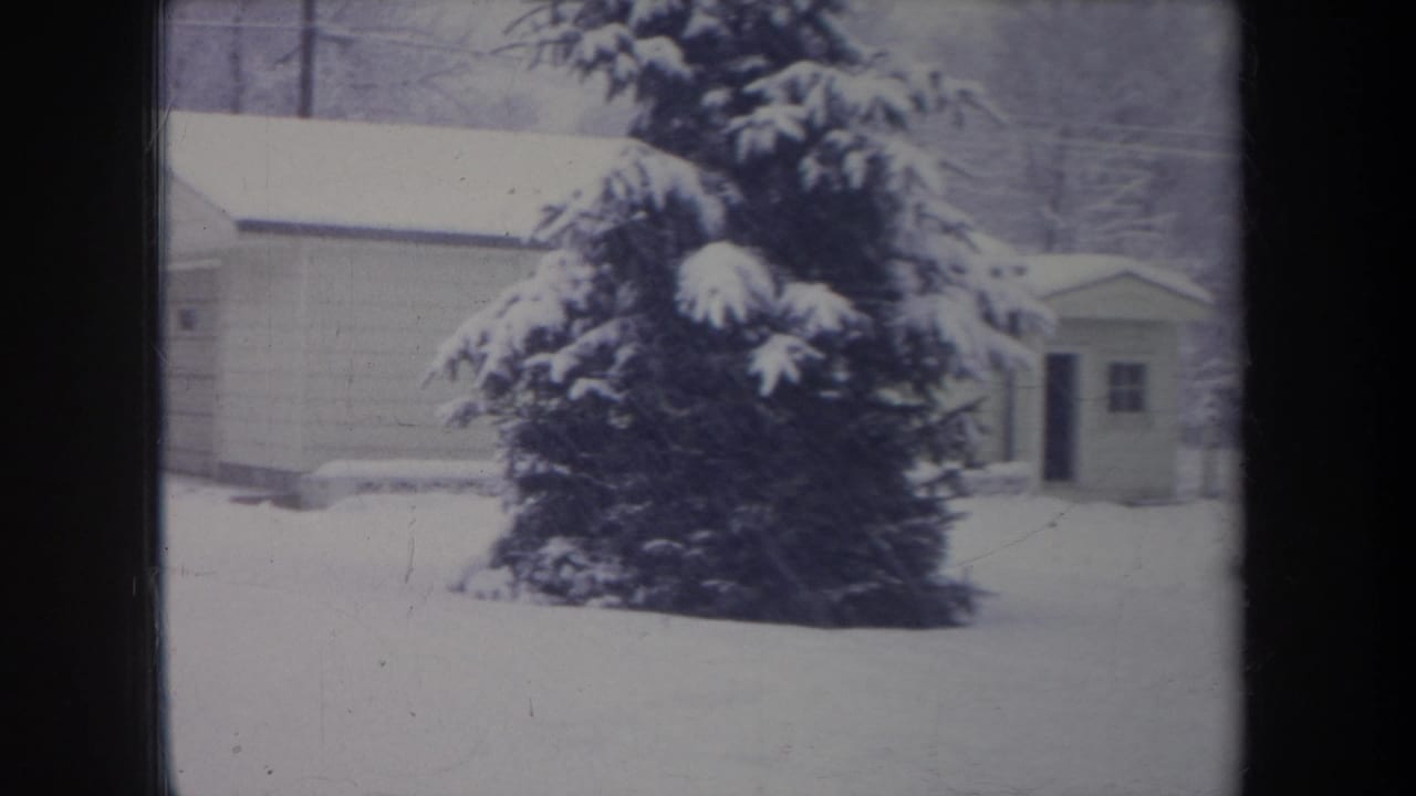 1968 Michigan 8mm frame centered on a snow-heavy pine tree, with garages, a small outbuilding, and winter trees behind it.