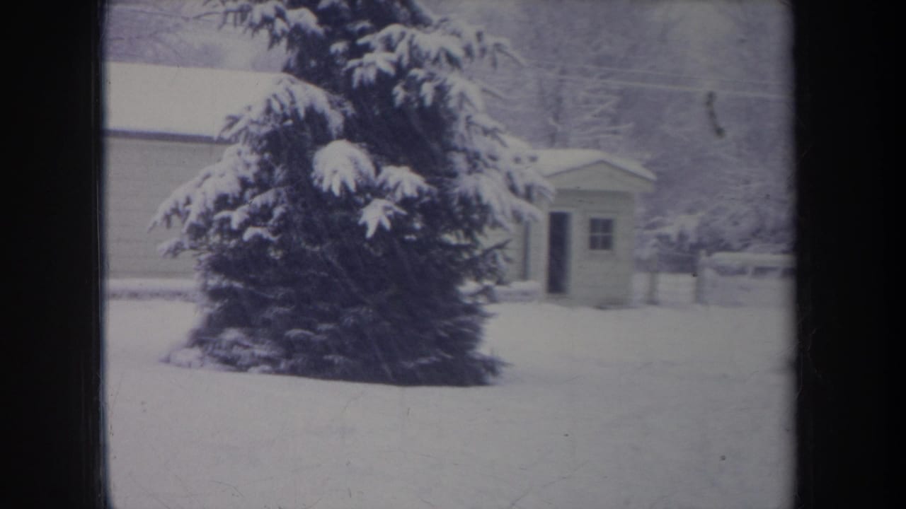 1968 Michigan 8mm frame showing a snowy yard with a large evergreen, small shed, fence, and bare winter trees.