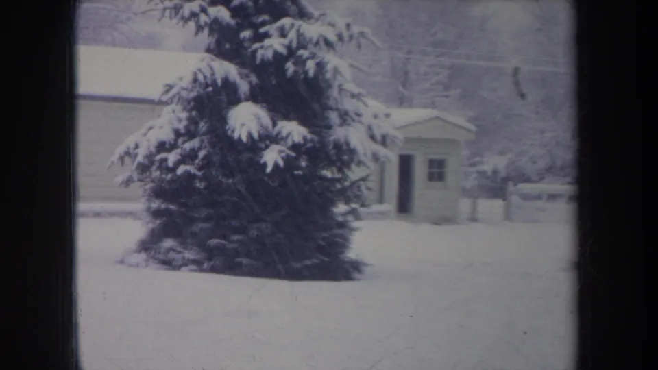 1968 Michigan 8mm frame showing a snowy yard with a large evergreen, small shed, fence, and bare winter trees.