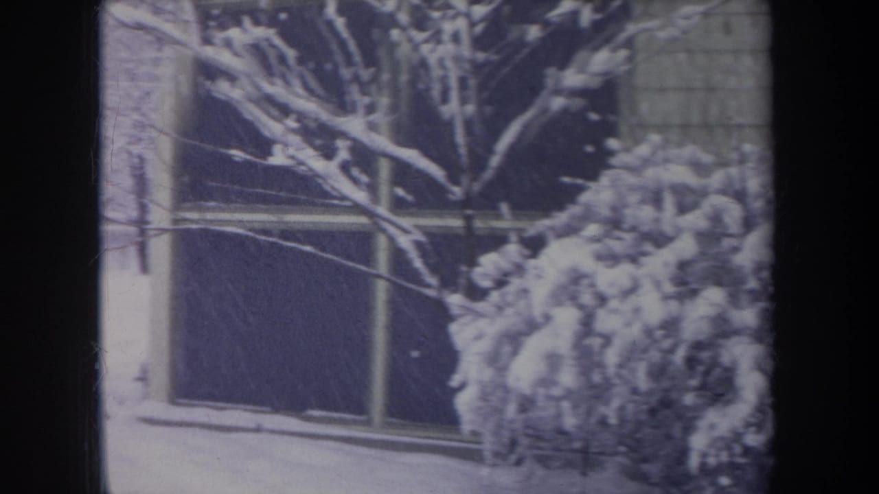 Snow-covered bush and tree branches beside a house wall and window.