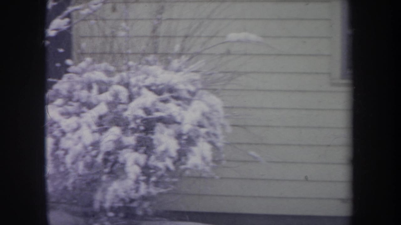 1968 Michigan 8mm frame showing a snow-laden garden shrub against horizontal siding on a residential house.